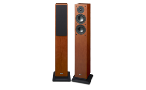 DENON(デノン)のフロア型スピーカーシステムSC-T33SGの買取実績です